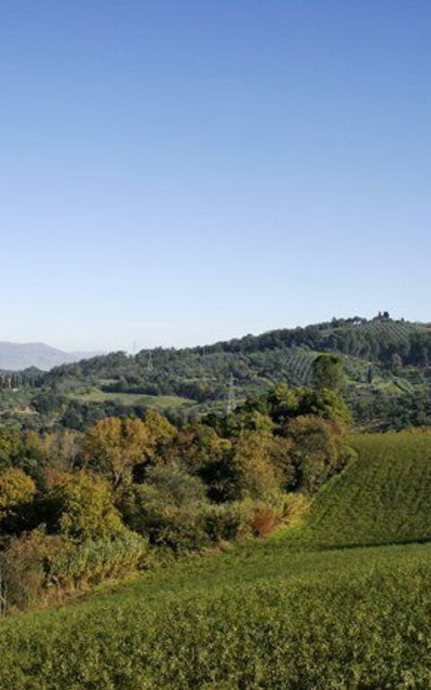 La Selva: Scenic View