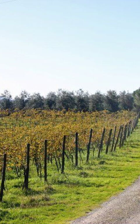 La Selva: Scenic View