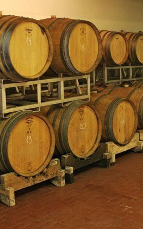 La Selva: Facilities