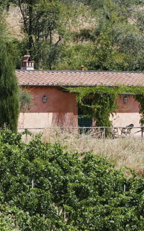 La Selva: Garden, Outdoor