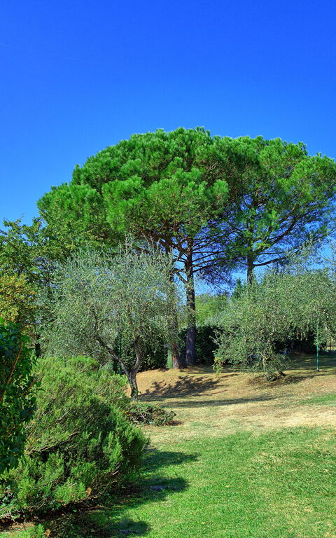 La Selva: Garden