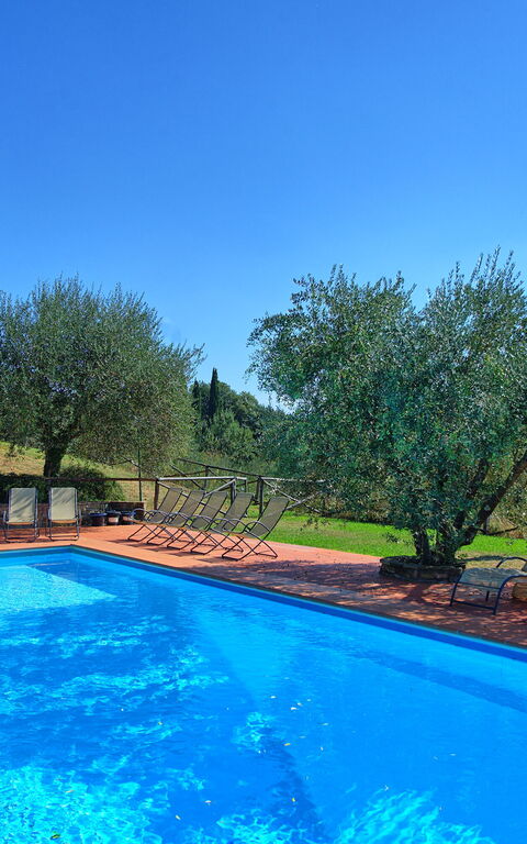 La Selva: Garden, Pool