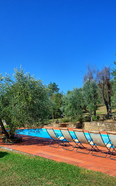 La Selva: Garden, Pool