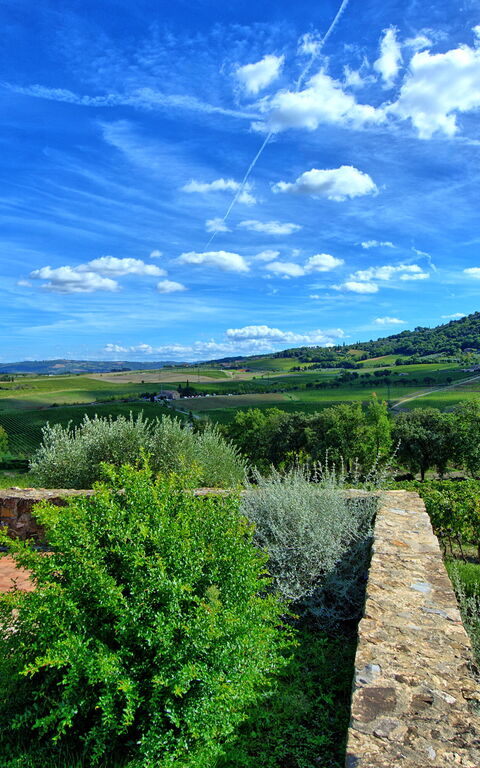 Brunello: Garden, Scenic View