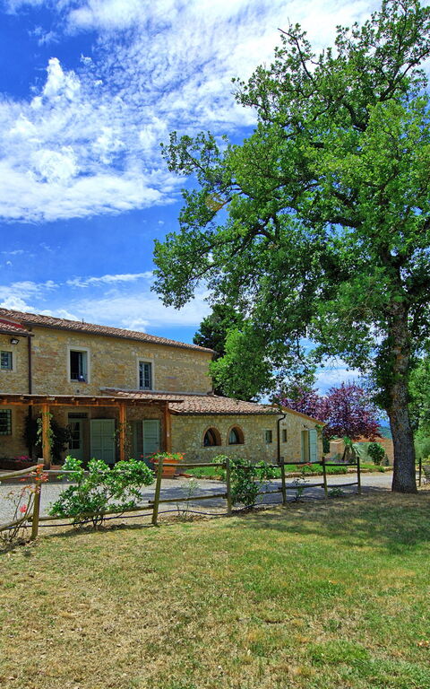 San Donato: Garden