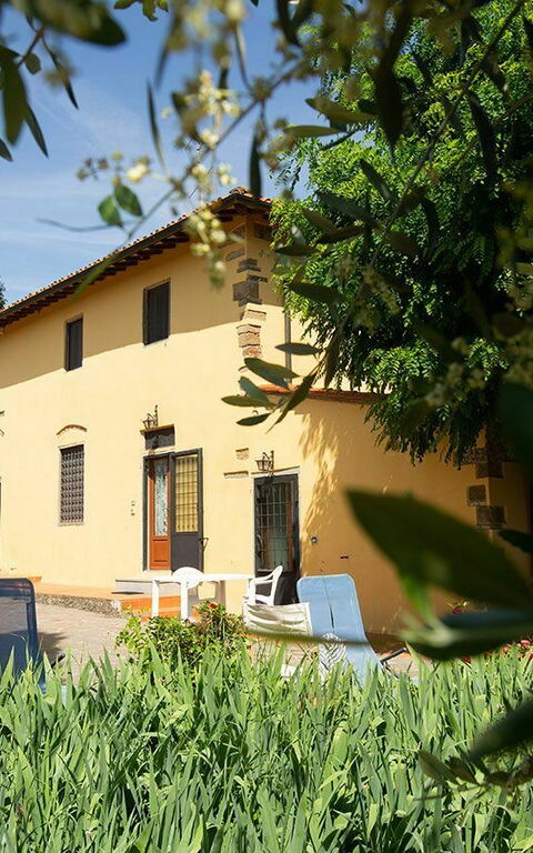 Le Vasche: Garden, Outdoor