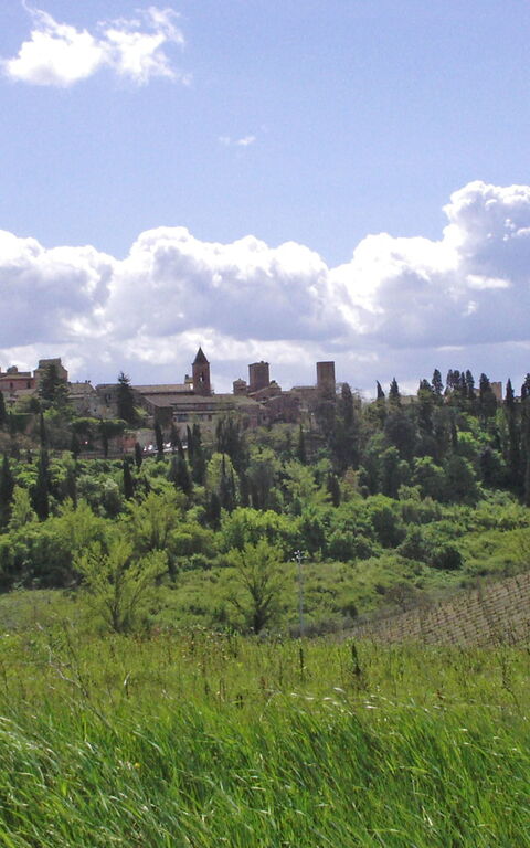 Certaldo: Scenic View