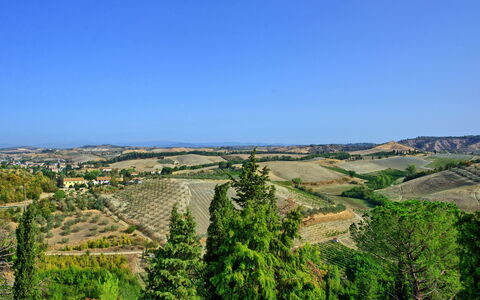 Accommodation Certaldo 2: Scenic View