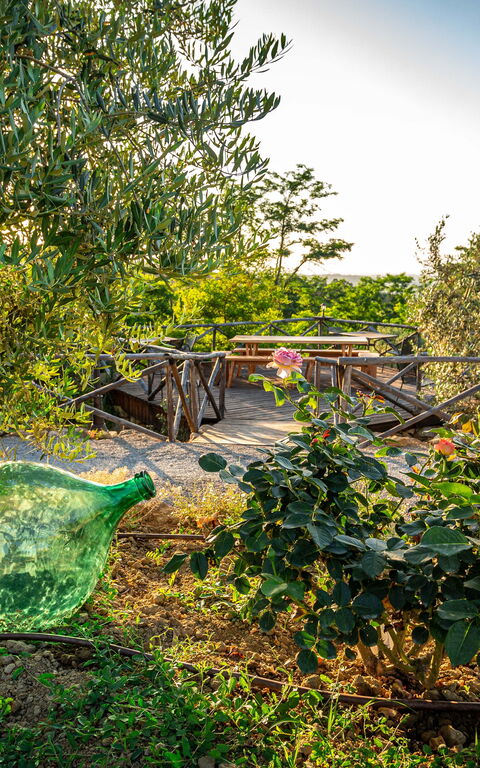 Villa Amadeo: Building Exterior, Garden, Outdoor