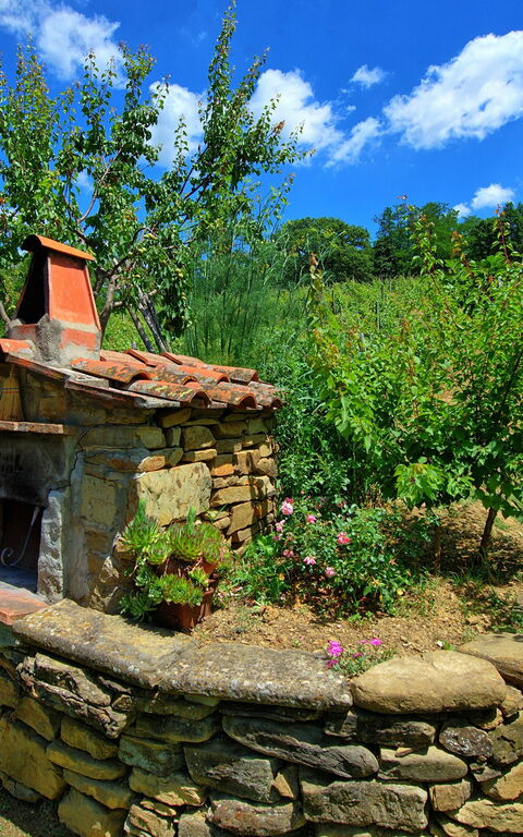 Villa Lo Scoiattolo: Garden, Outdoor