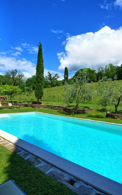 Villa Lo Scoiattolo: Garden, Outdoor, Pool