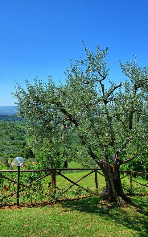 Casa Lucia: Scenic View