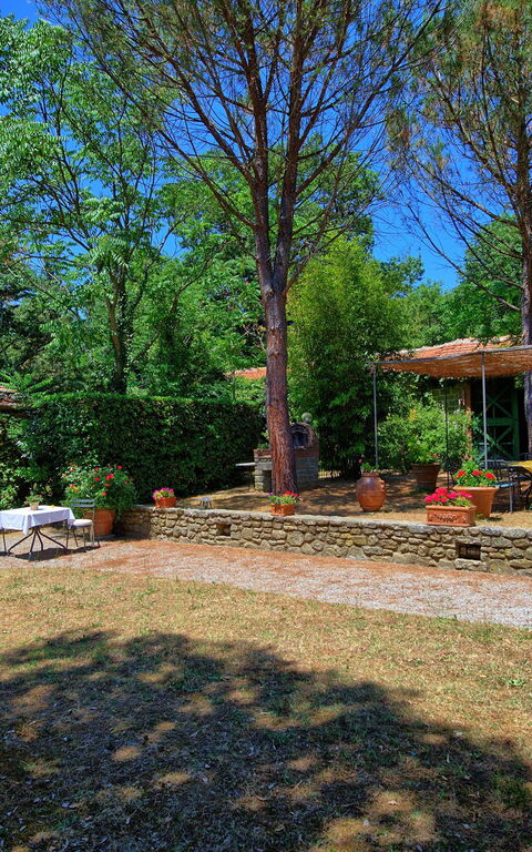 Villa Elisa: Garden