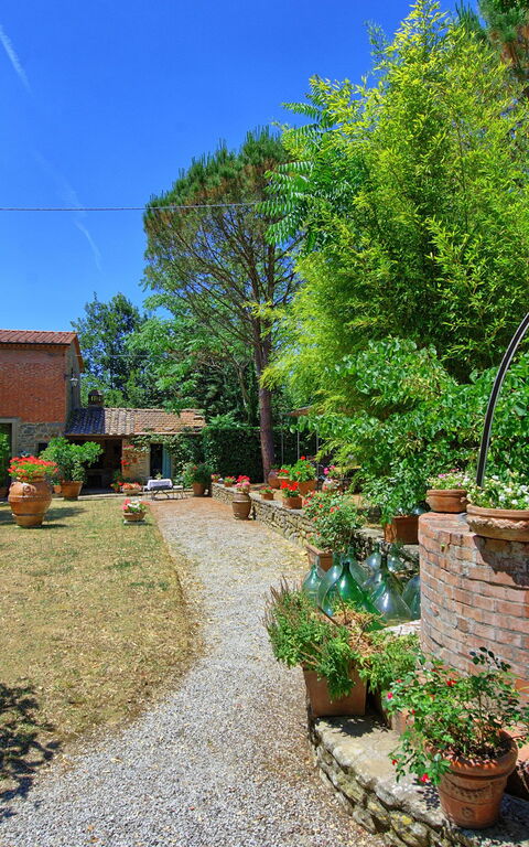 Villa Elisa: Garden