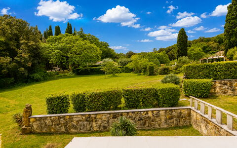 Accommodation Dependence 3: Garden