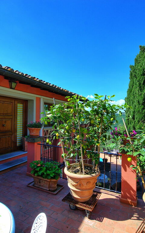 Casa Vania: Garden, Outdoor