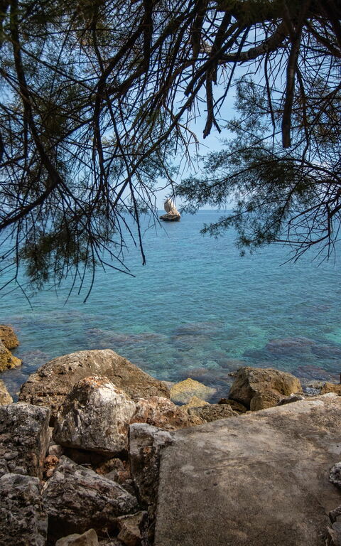 Villa Contrada: Outdoor