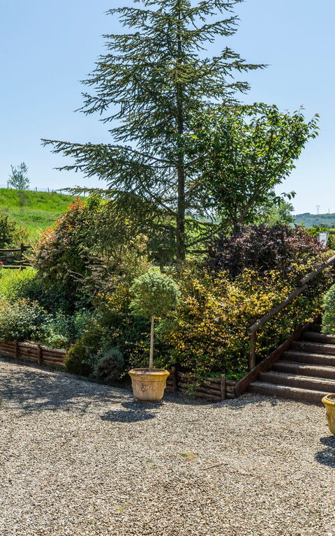Villa Castiglione: Garden, Outdoor