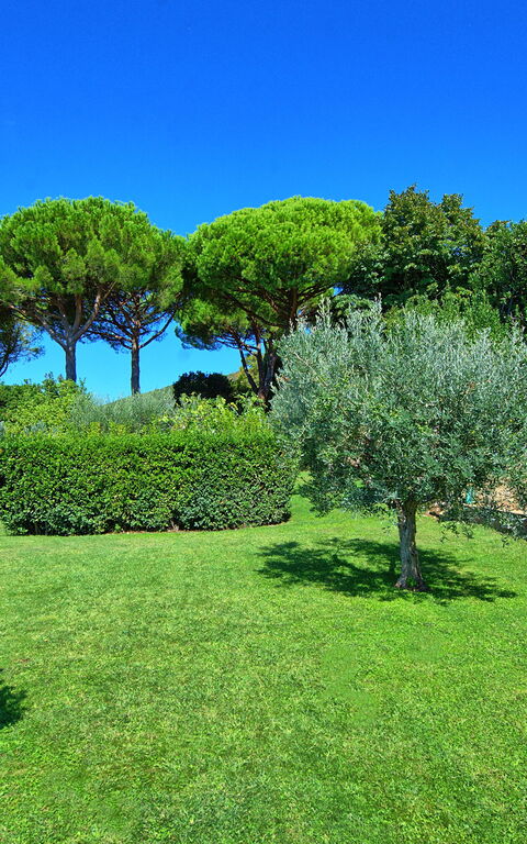 Villa Le Murate: Garden