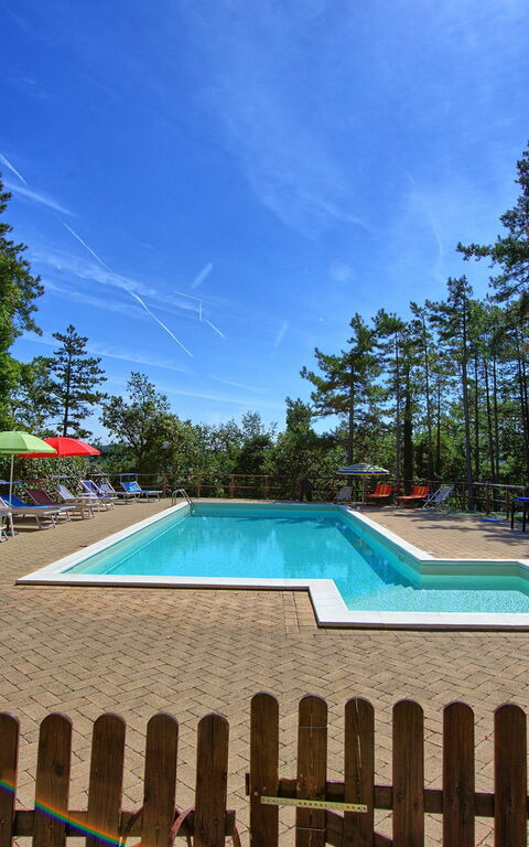 Villa Lorenzo: Garden, Pool
