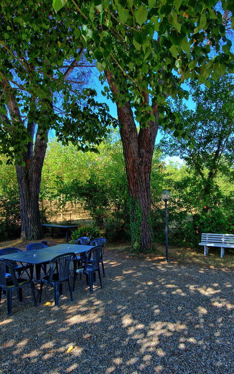 Casale Ambra: Garden