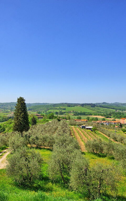 Villa Roberto: Outdoor