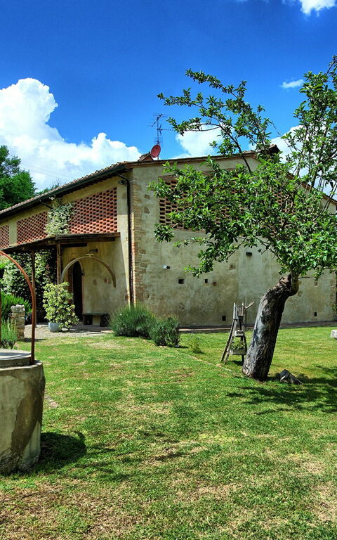 Villa Diletta: Garden