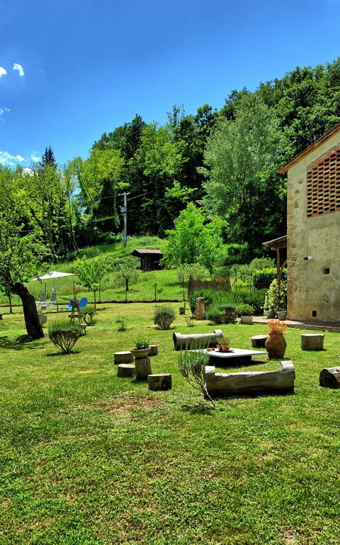 Villa Diletta: Garden