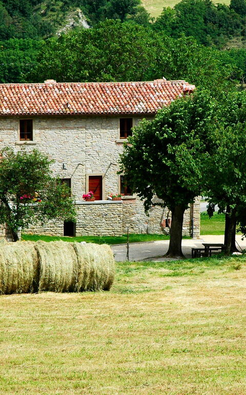 Marradi: Outdoor, Scenic View