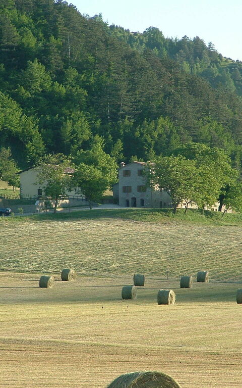 Marradi: Scenic View