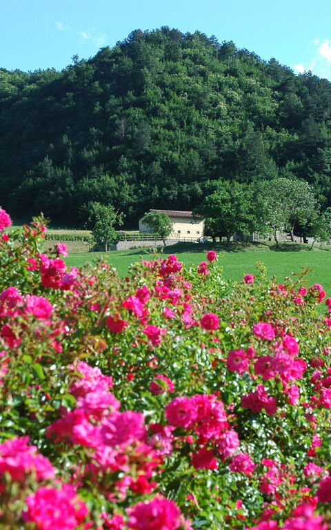 Marradi: Scenic View