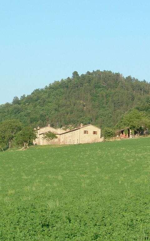 Marradi: Scenic View