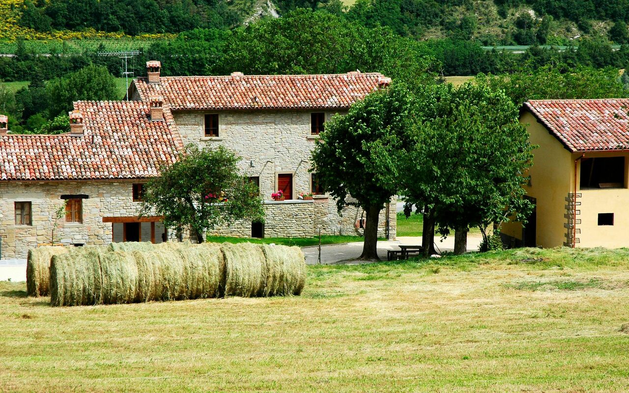 Marradi: Outdoor, Scenic View