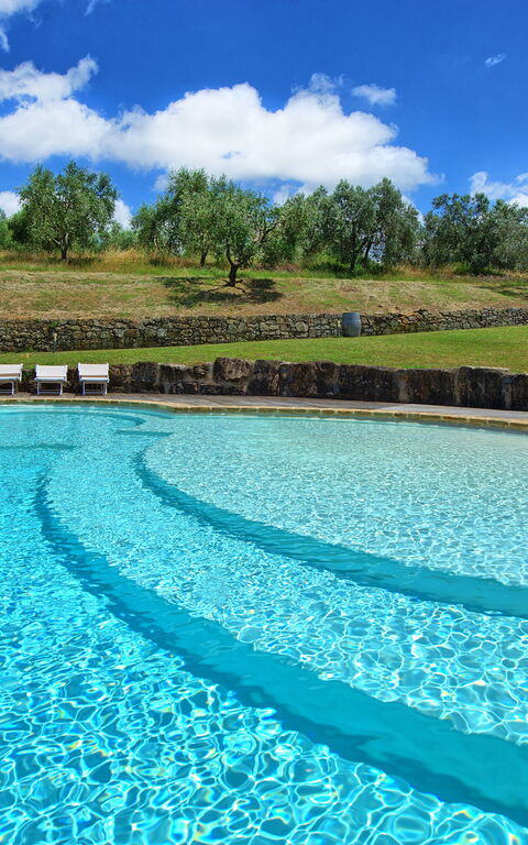 Villa Ferdinando: Pool, Summer