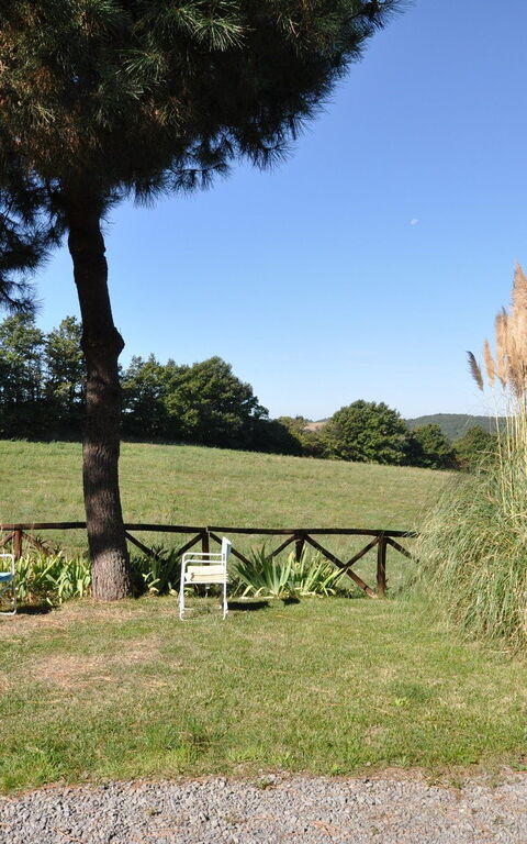 Ginestrella: Garden, Outdoor