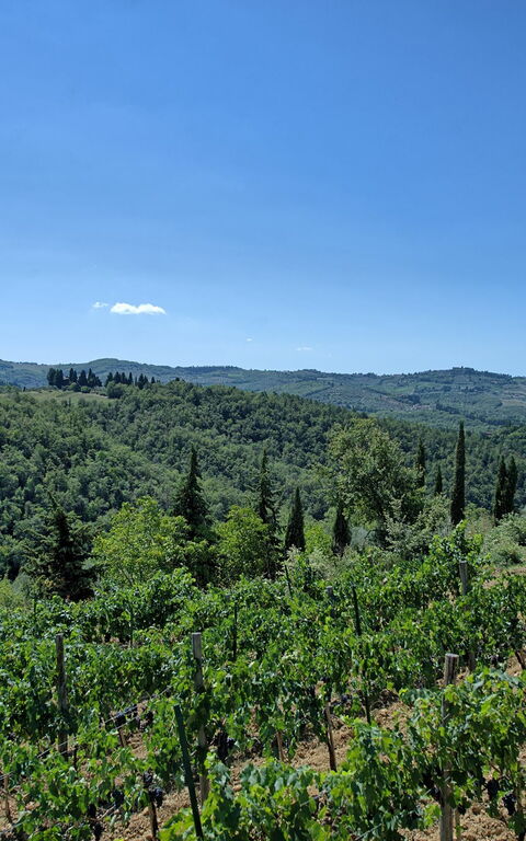 Bigiolo a Melazzano: Scenic View