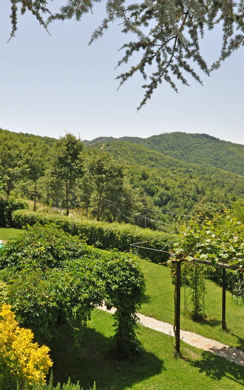 Villa Dame: Garden, Pool
