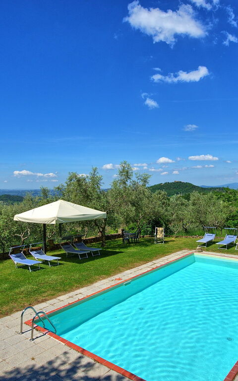 Panzalla: Garden, Pool