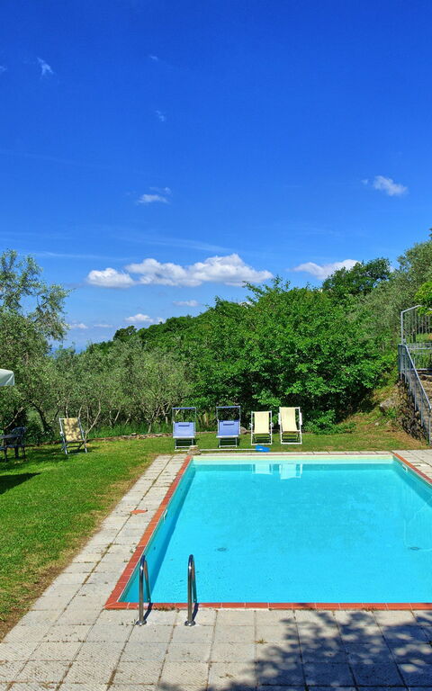 Panzalla: Garden, Pool