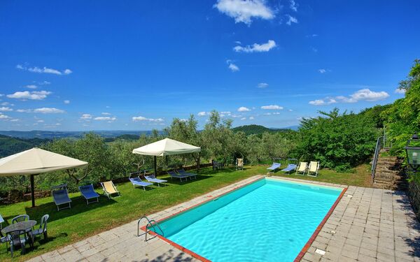 Panzalla: Garden, Pool