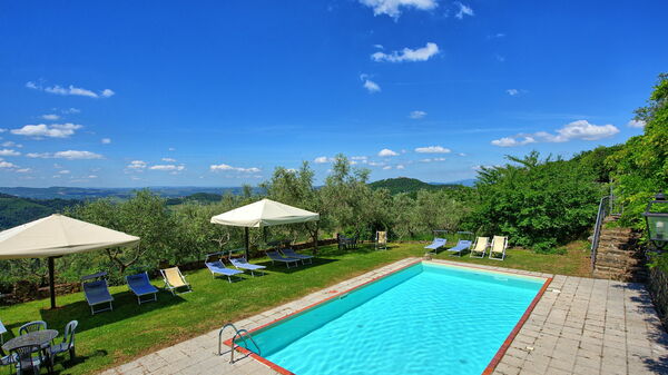 Panzalla: Garden, Pool