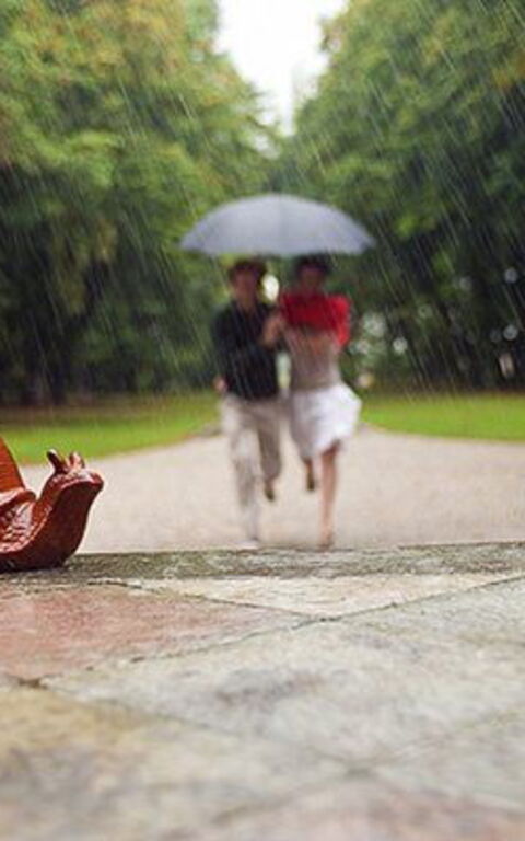 Ca' Marcello: Garden, Outdoor