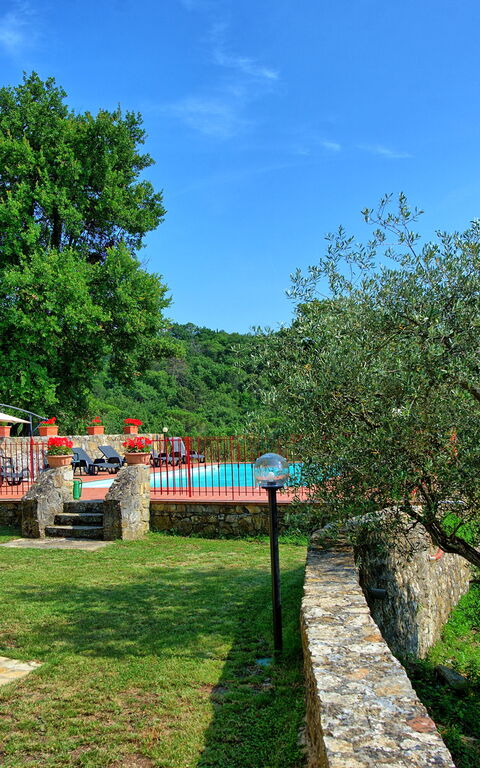 Querciolaia: Garden, Pool