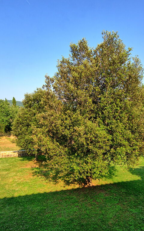 Casavecchia: Scenic View