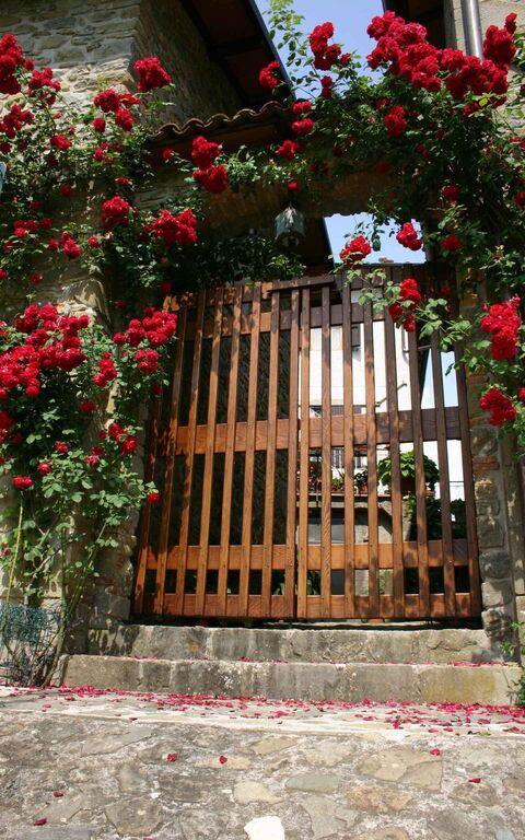 Il Palazzetto: Outdoor