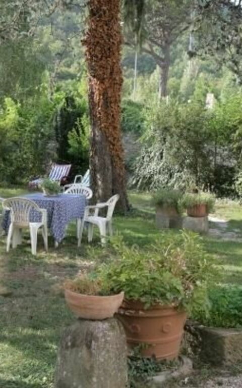 ***villa Contea: Garden, Outdoor
