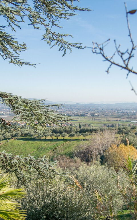 Villa Pedone: Outdoor