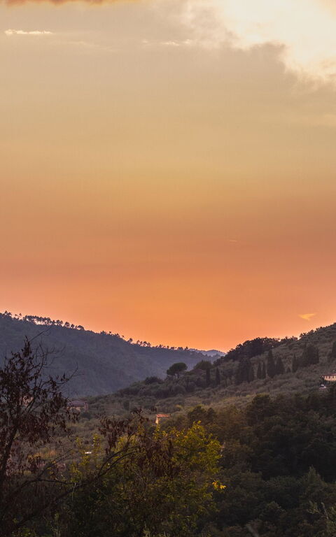 Villa Pedone: Outdoor