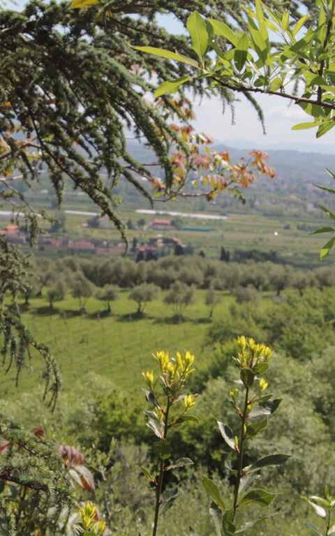 Villa Pedone: Outdoor, Scenic View