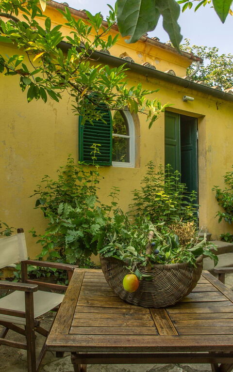 Villa Pedone: Garden, Outdoor